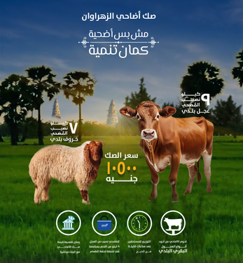 مش بس أضحية كمان تنمية