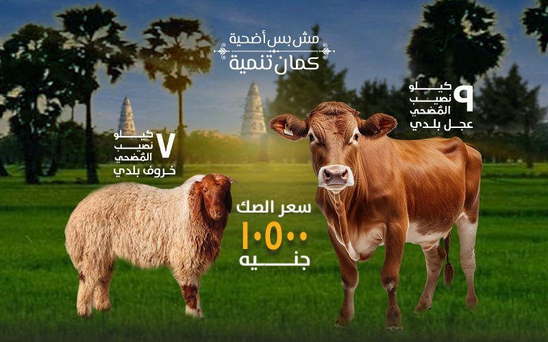 مش بس أُضحية ..كمان تنمية